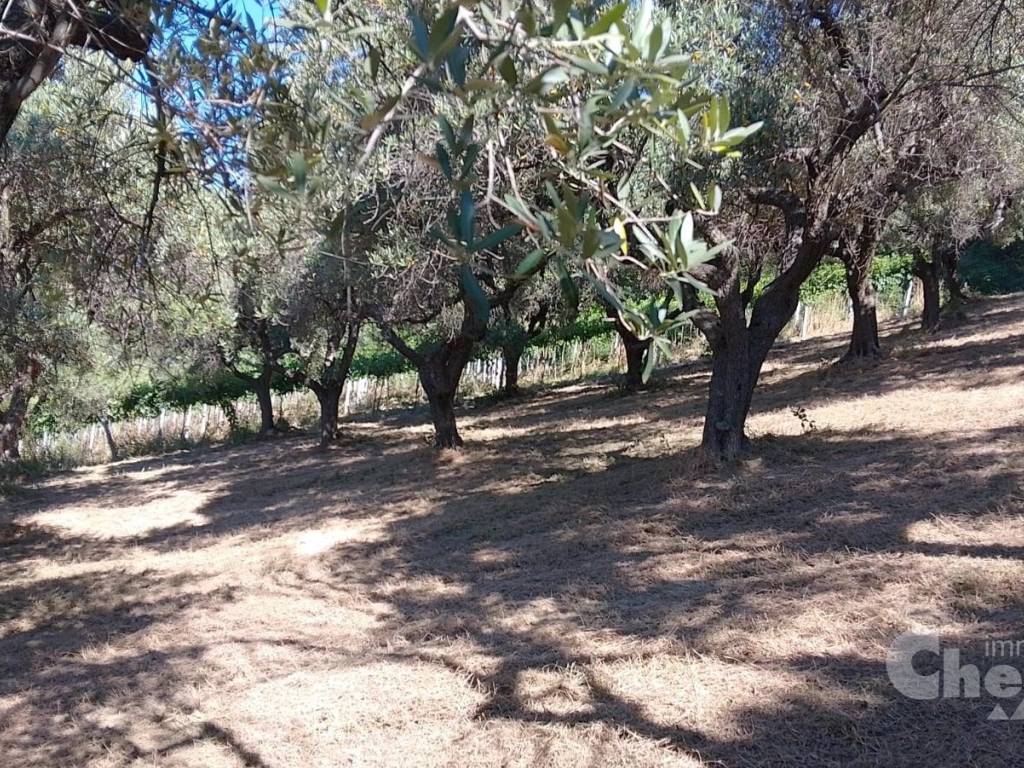 Terreno a Chieti in Via Ermindo Campana - Foto 2