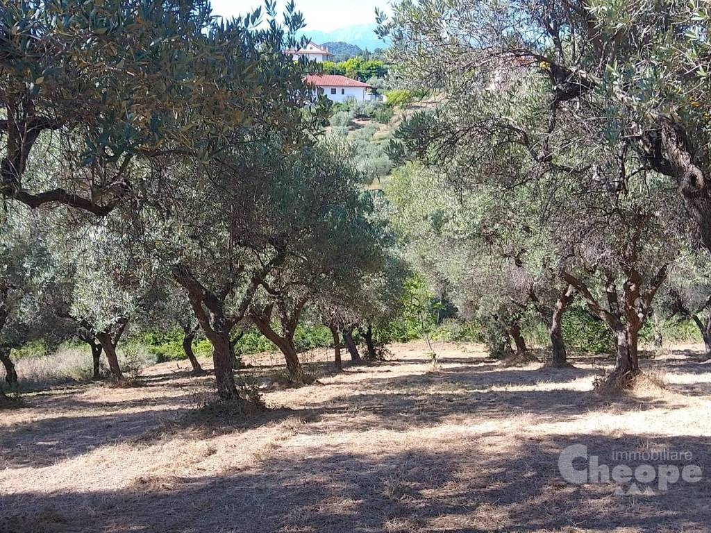 Terreno a Chieti in Via Ermindo Campana - Foto 3