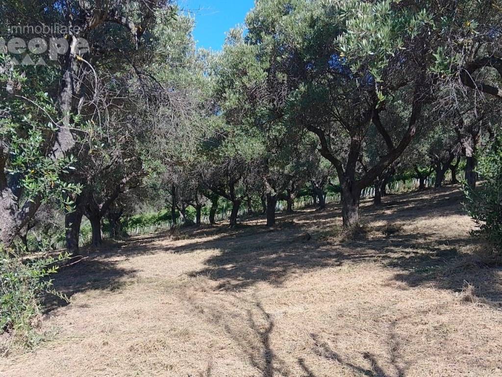 Terreno a Chieti in Via Ermindo Campana - Foto 4