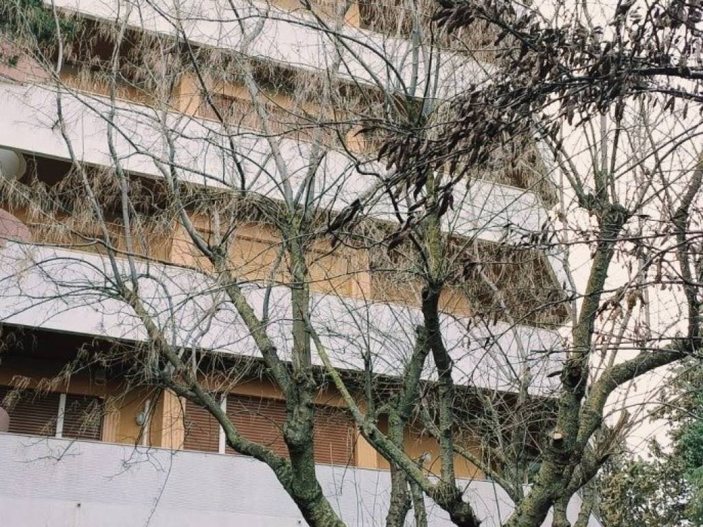 Appartamento a Pescara in Via del Santuario, 70 - Foto 4