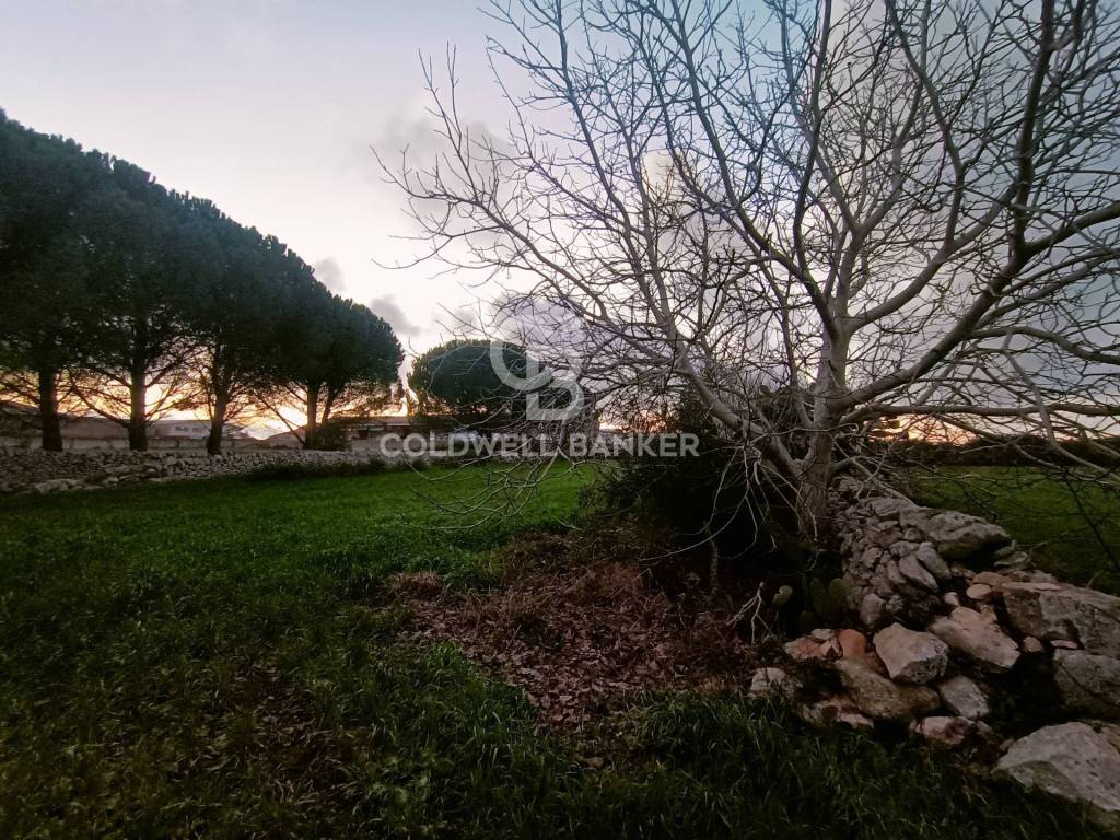 Terreno a Ragusa in c.da bettafilava - Foto 3
