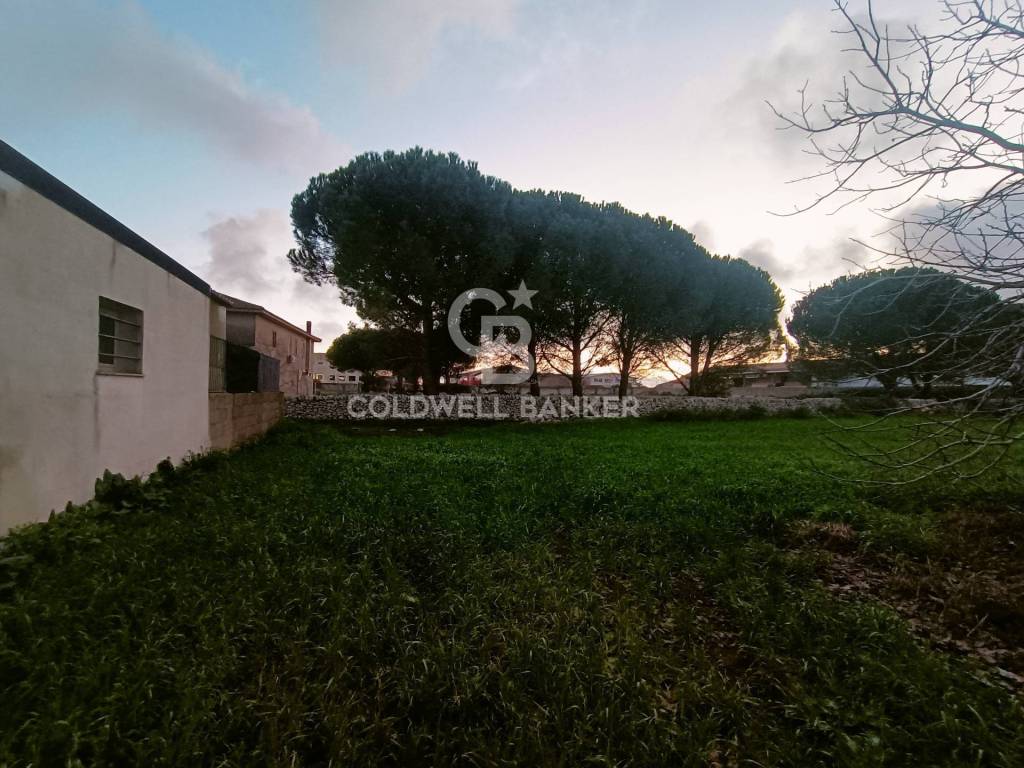 Terreno a Ragusa in c.da bettafilava - Foto 5