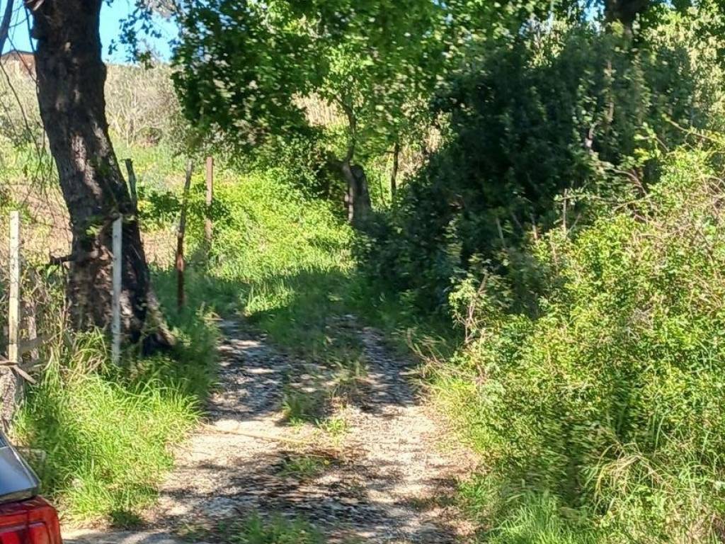 Terreno a Giungano in Via di Mezzo, 7 - Foto 5