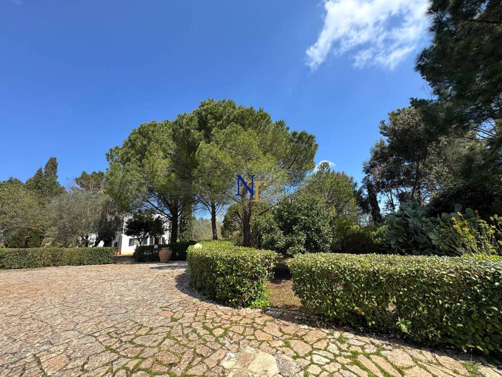 Rustico / casale a Ostuni in Contrada Chiobbica - Foto 2