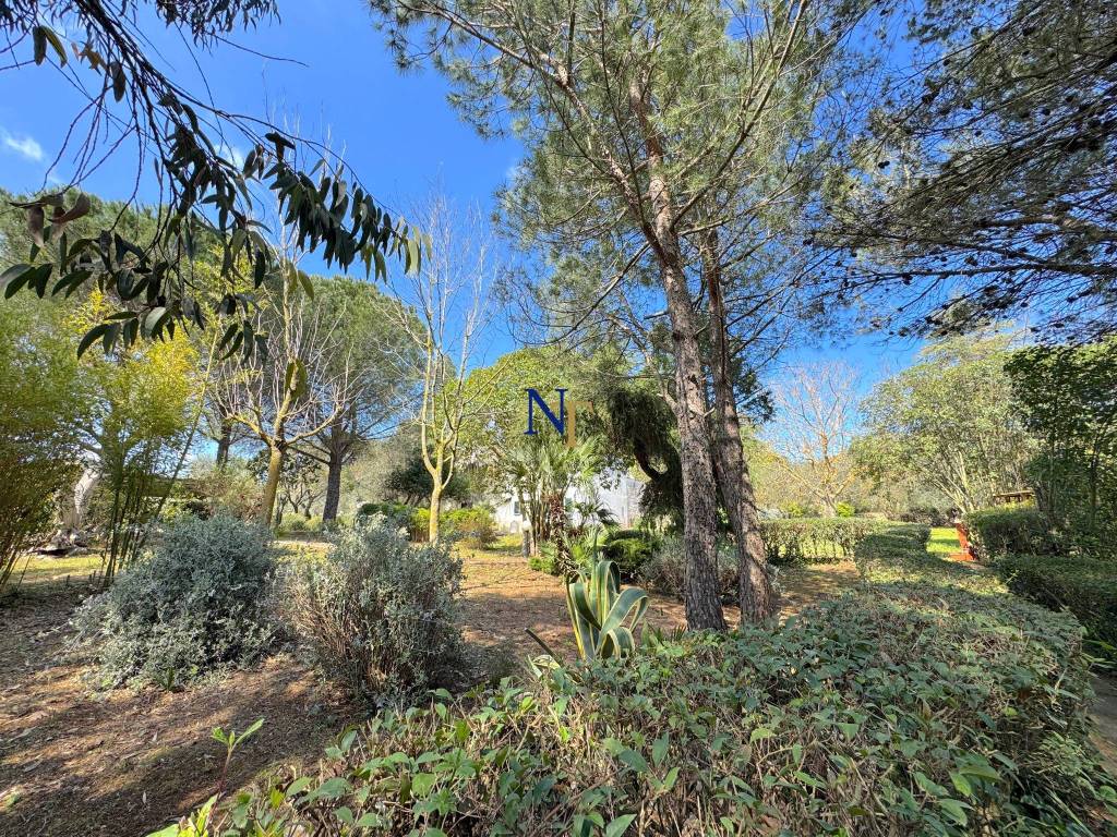 Rustico / casale a Ostuni in Contrada Chiobbica - Foto 3