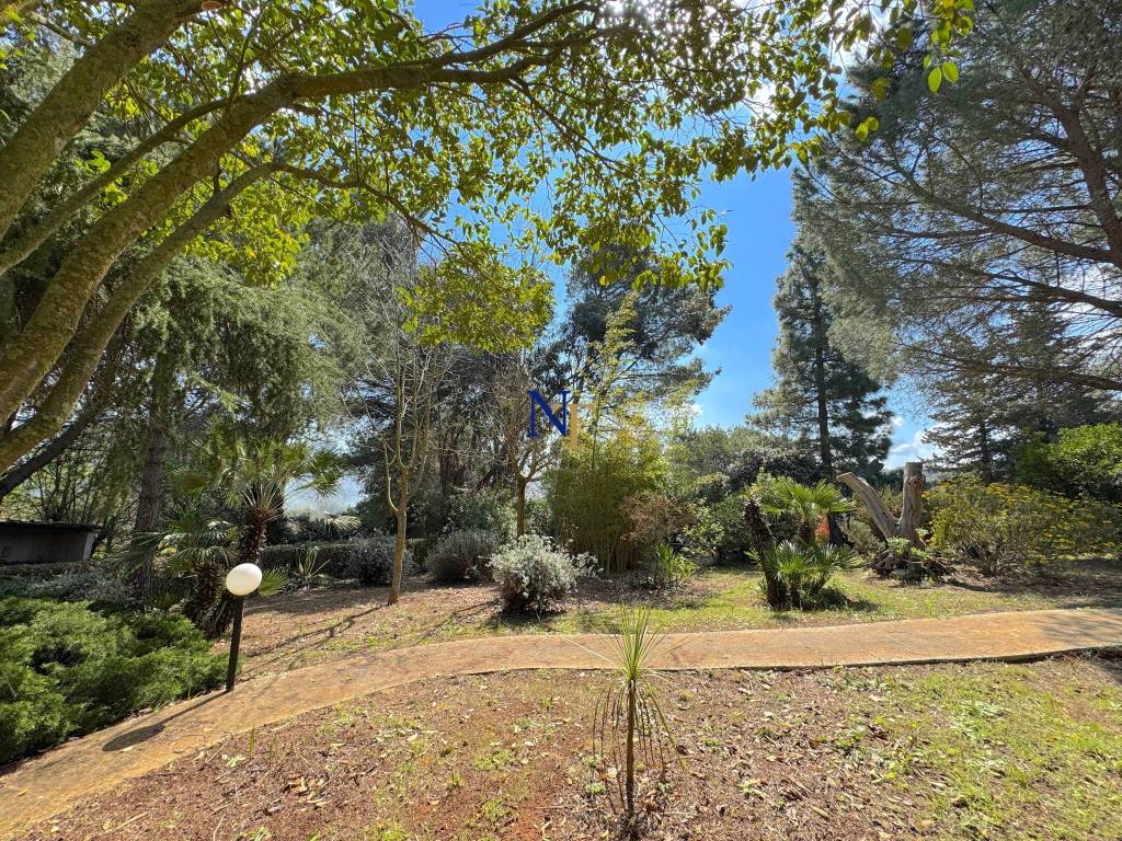 Rustico / casale a Ostuni in Contrada Chiobbica - Foto 4