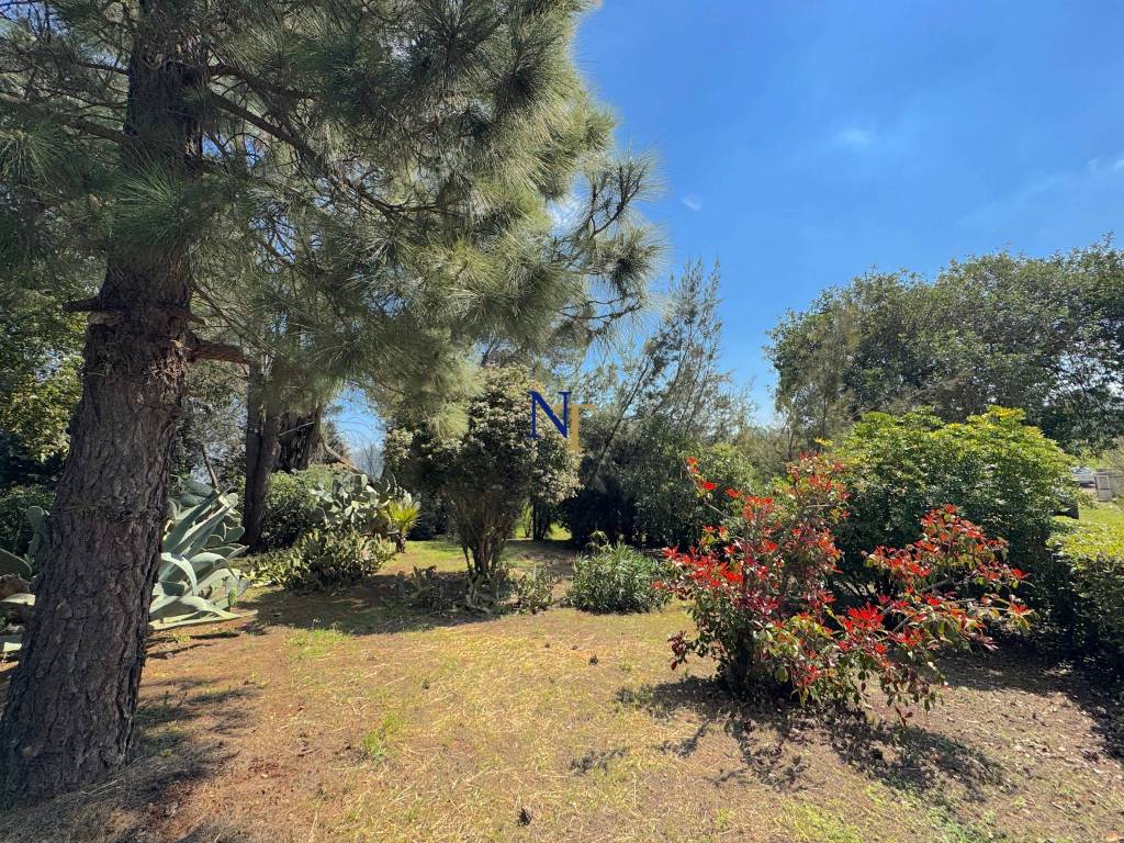 Rustico / casale a Ostuni in Contrada Chiobbica - Foto 5