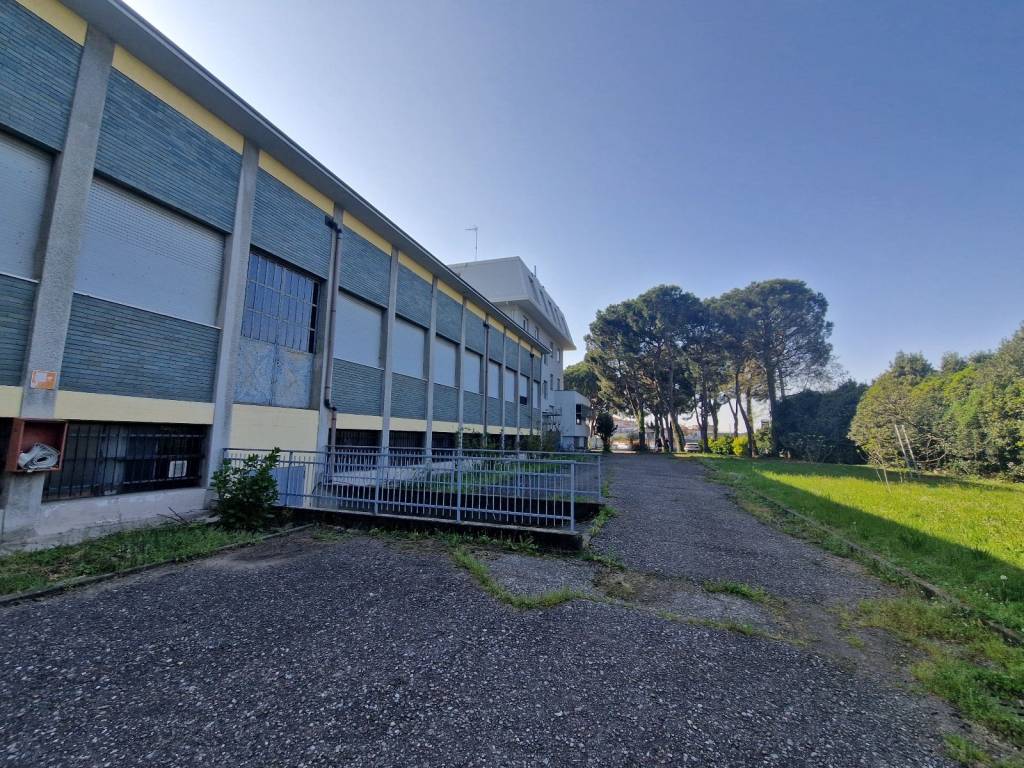 Immobile a Caronno pertusella in Viale Cinque Giornate - Foto 3