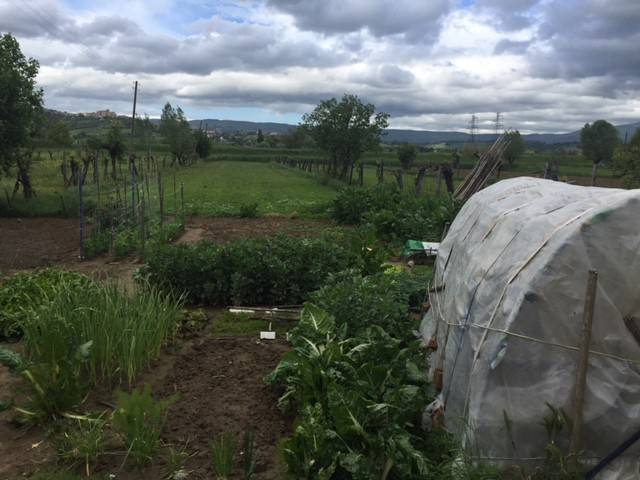 Terreno a Fabro in Via Benedetto Croce - Foto 5