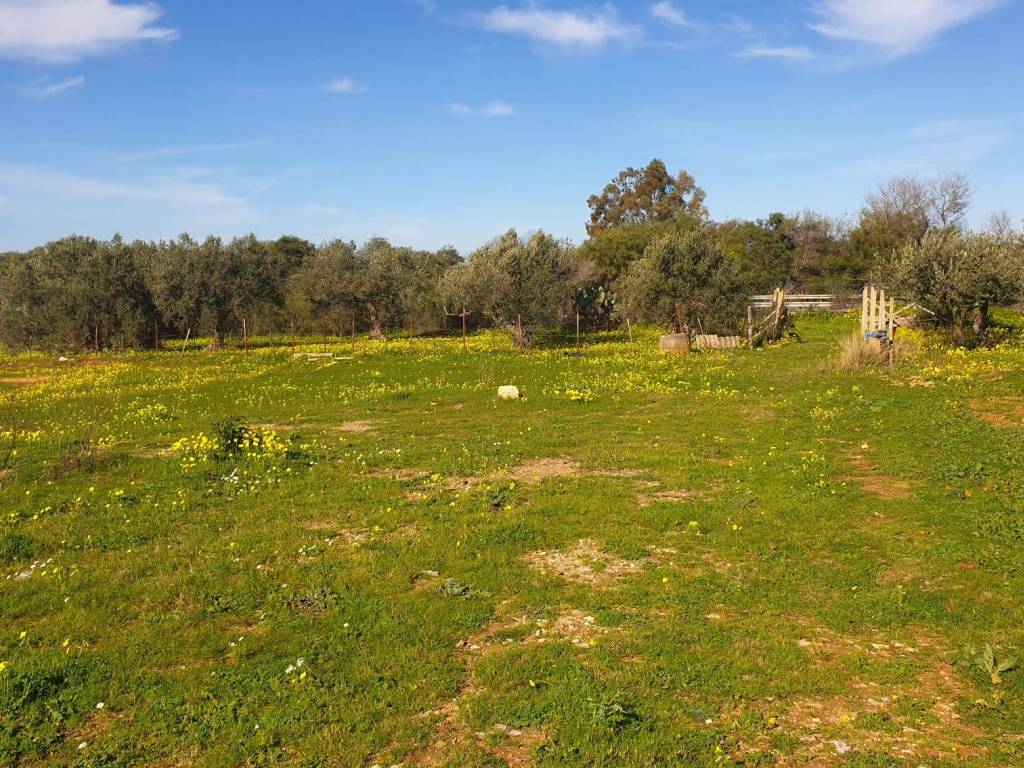 Terreno a Trappeto in contrada mortaro - Foto 5