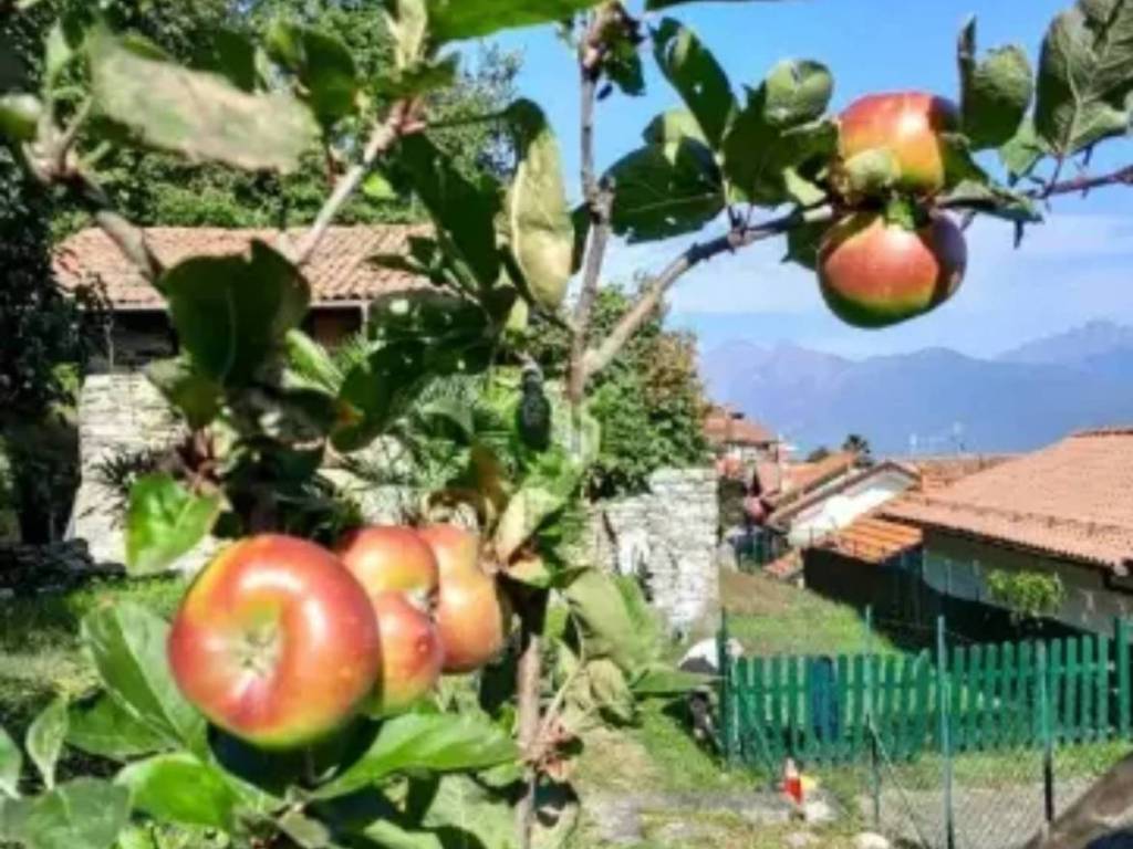 Rustico / casale a Stresa in Via Agli Orti - Foto 3