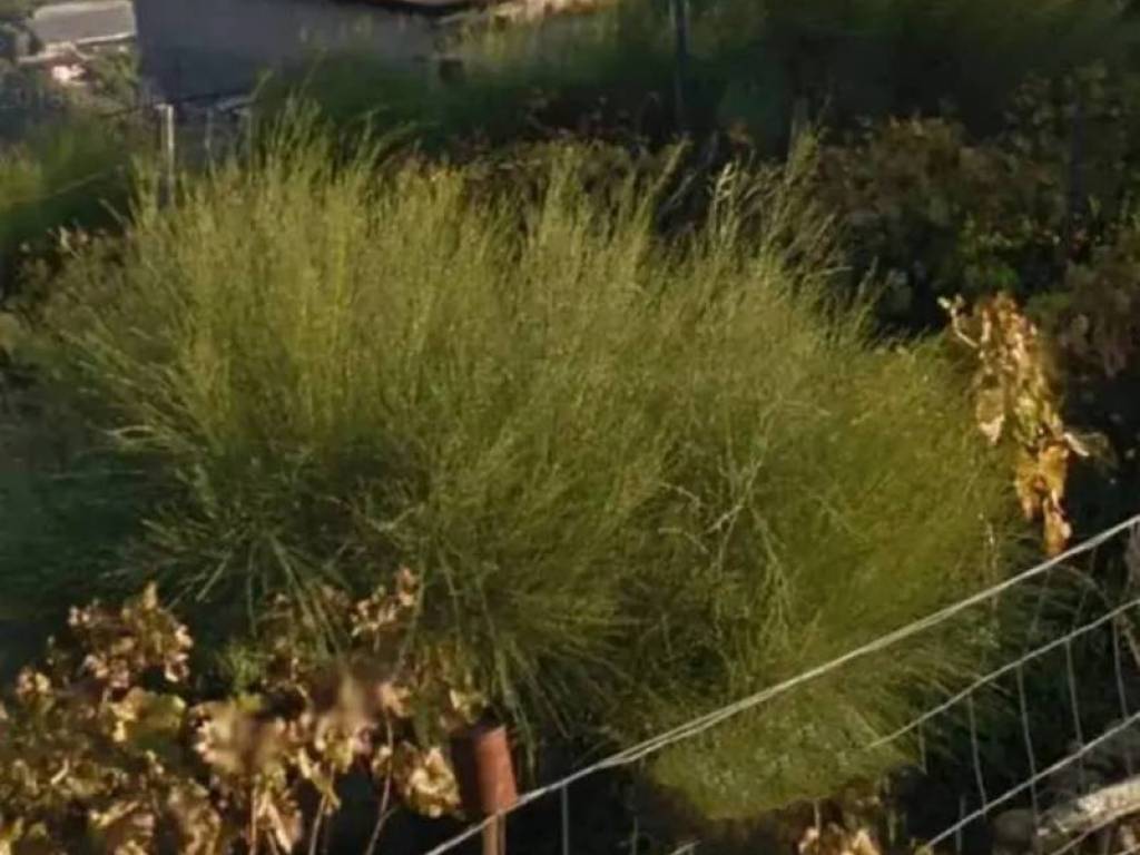 Rustico / casale a San biagio della cima in Via Annunziata - Foto 3