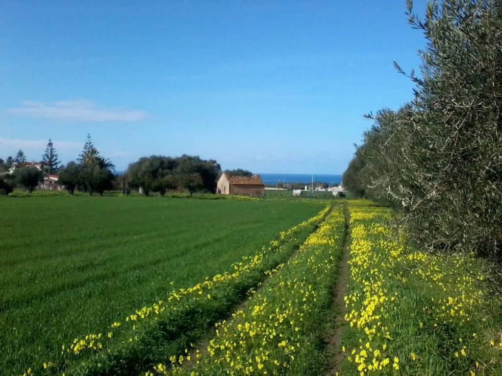 Rustico / casale a Ricadi in Contrada Frizza - Foto 2