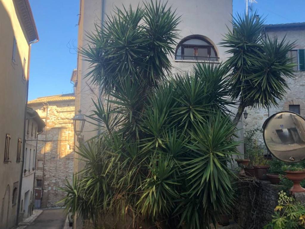 Casa indipendente a Amelia in Via Rimembranze, 8 - Foto 4