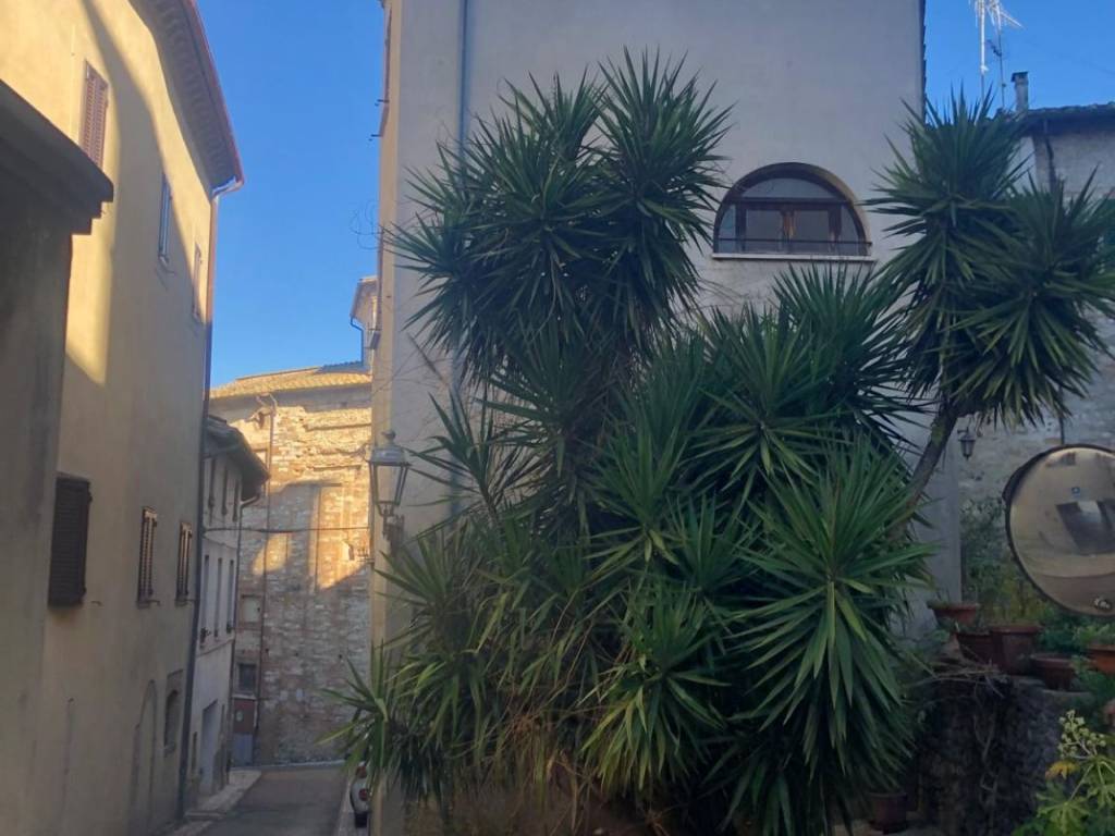 Casa indipendente a Amelia in Via Rimembranze, 8 - Foto 5