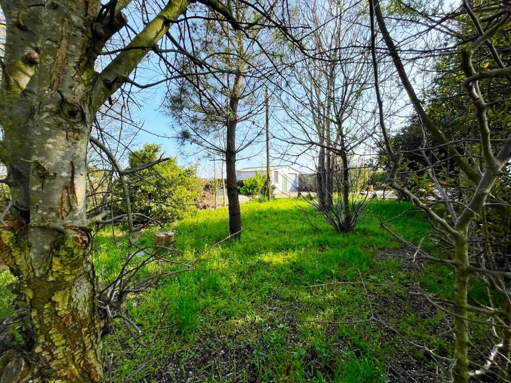 Villa a Loreo in tornova - Foto 3