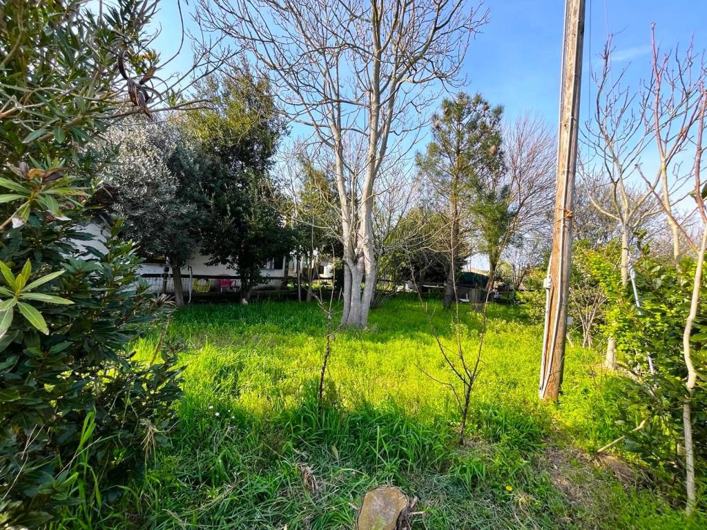 Villa a Loreo in tornova - Foto 4