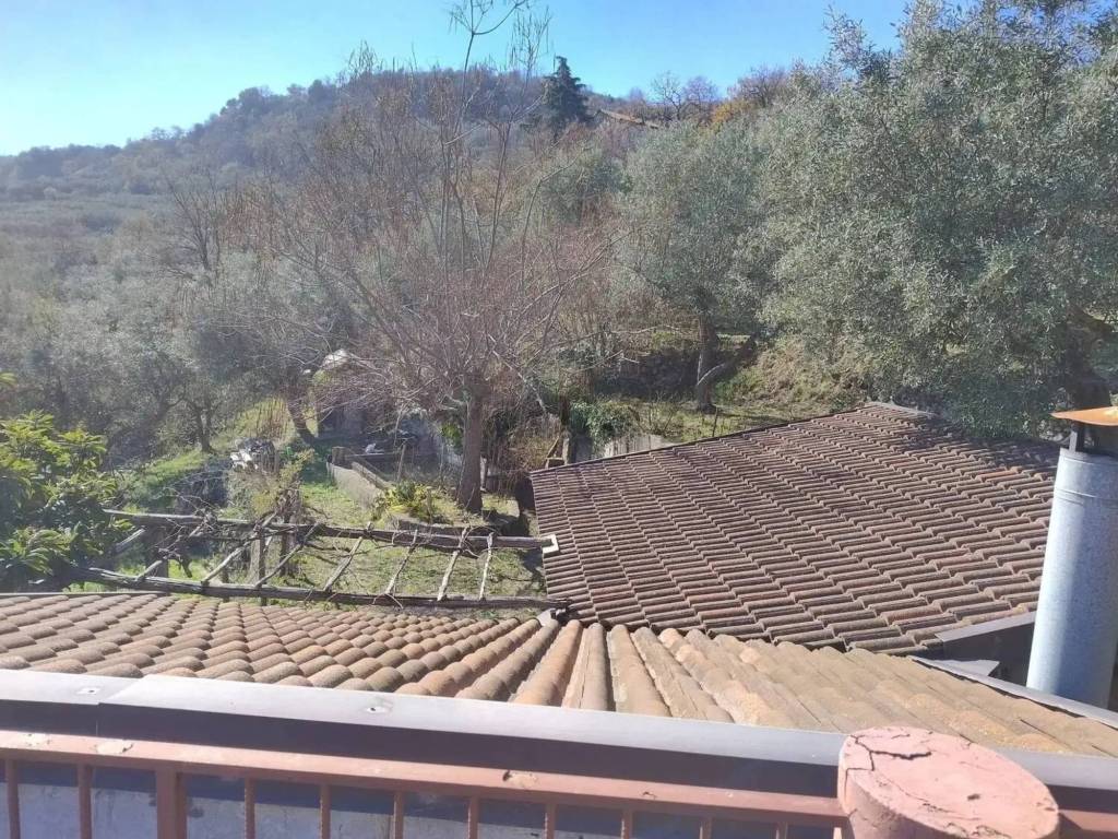 Rustico / casale a Petilia policastro in Località Taglio - Foto 3