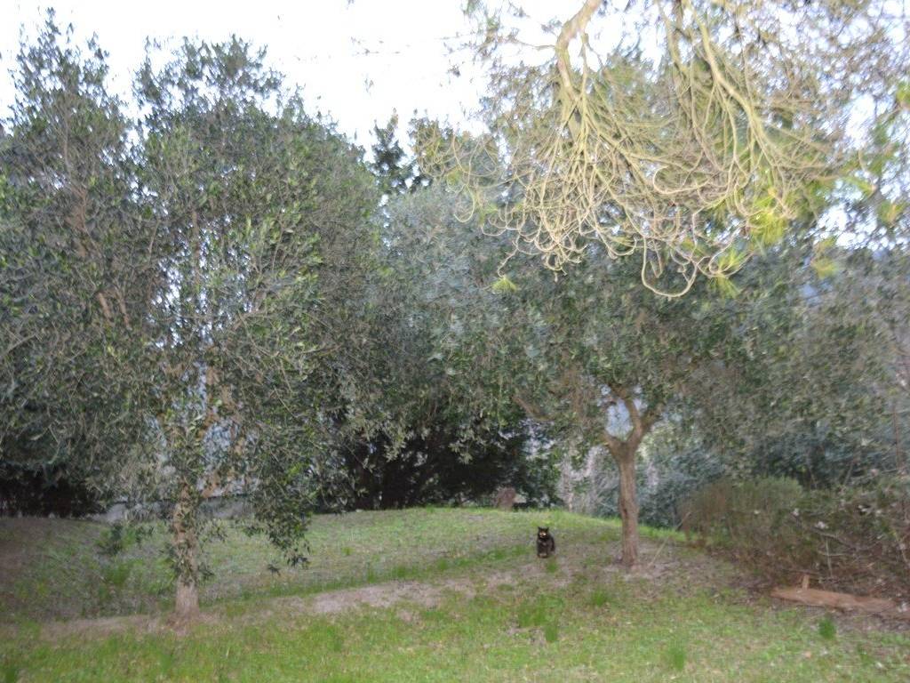 Casa indipendente a Ancona - Foto 2