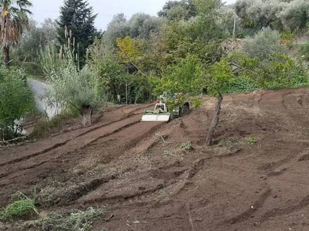 Rustico / casale a Nicotera in VIA GIUSEPPE GARIBALDI n. - Foto 4