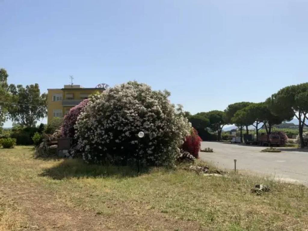 Villa a Massa marittima in PODERE CILINDRO n. 50 - Foto 4