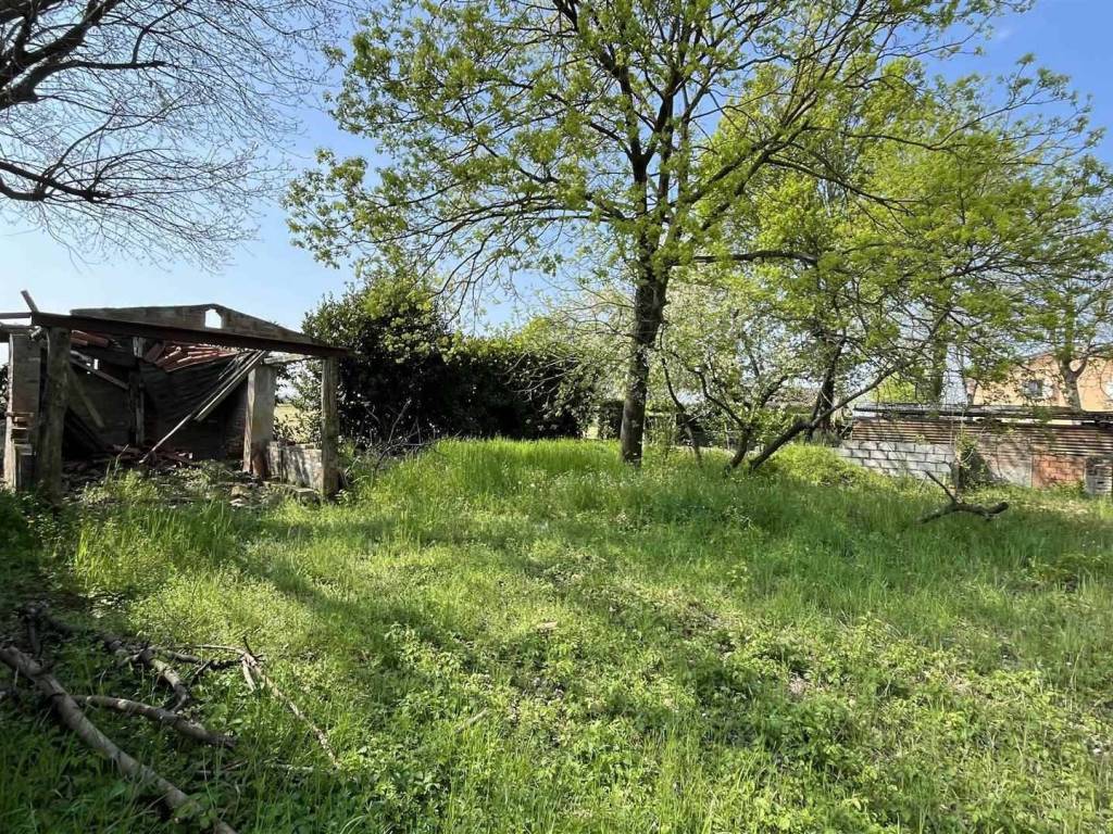 Rustico / casale a San felice sul panaro in via Tassi, 1615 - Foto 3