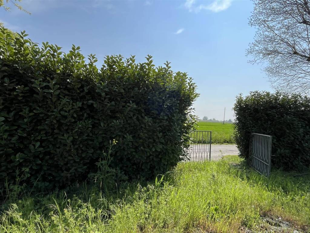 Rustico / casale a San felice sul panaro in via Tassi, 1615 - Foto 5