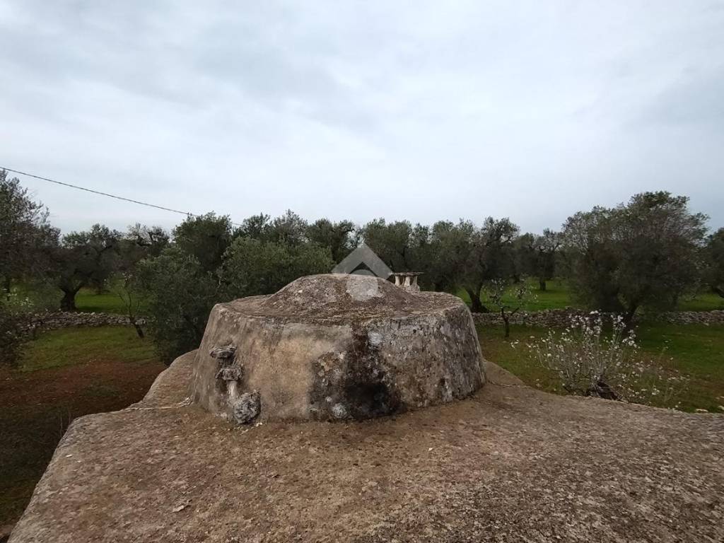 Rustico / casale a Ceglie messapica in Contrada Palagogna - Foto 2