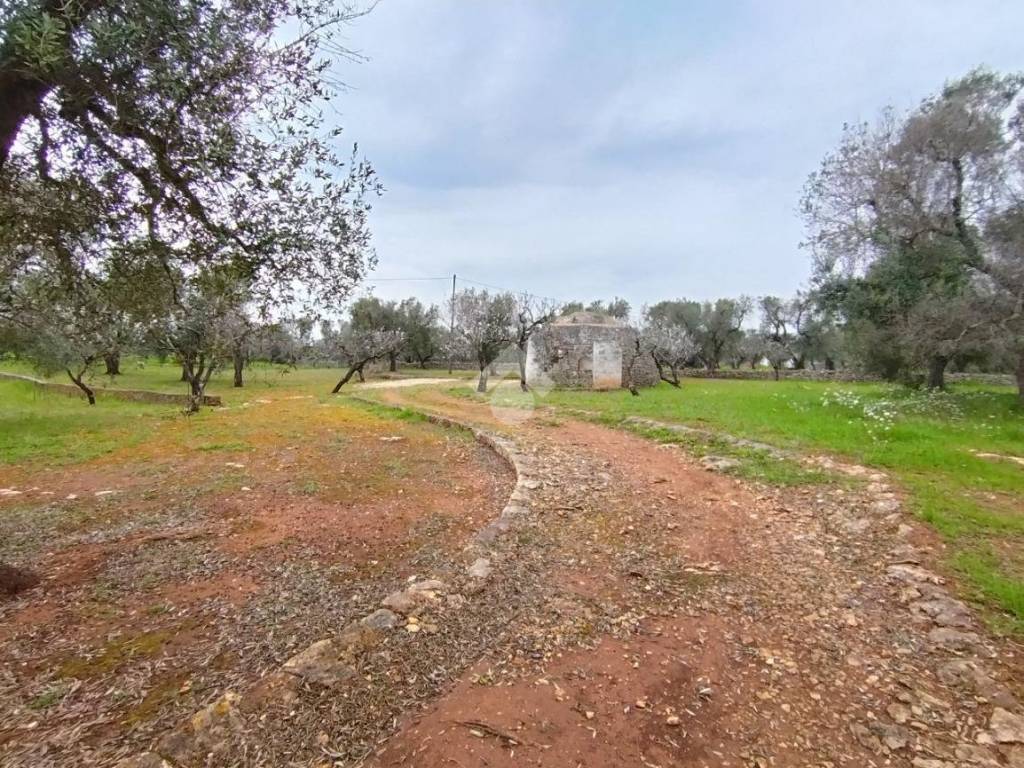 Rustico / casale a Ceglie messapica in Contrada Palagogna - Foto 3