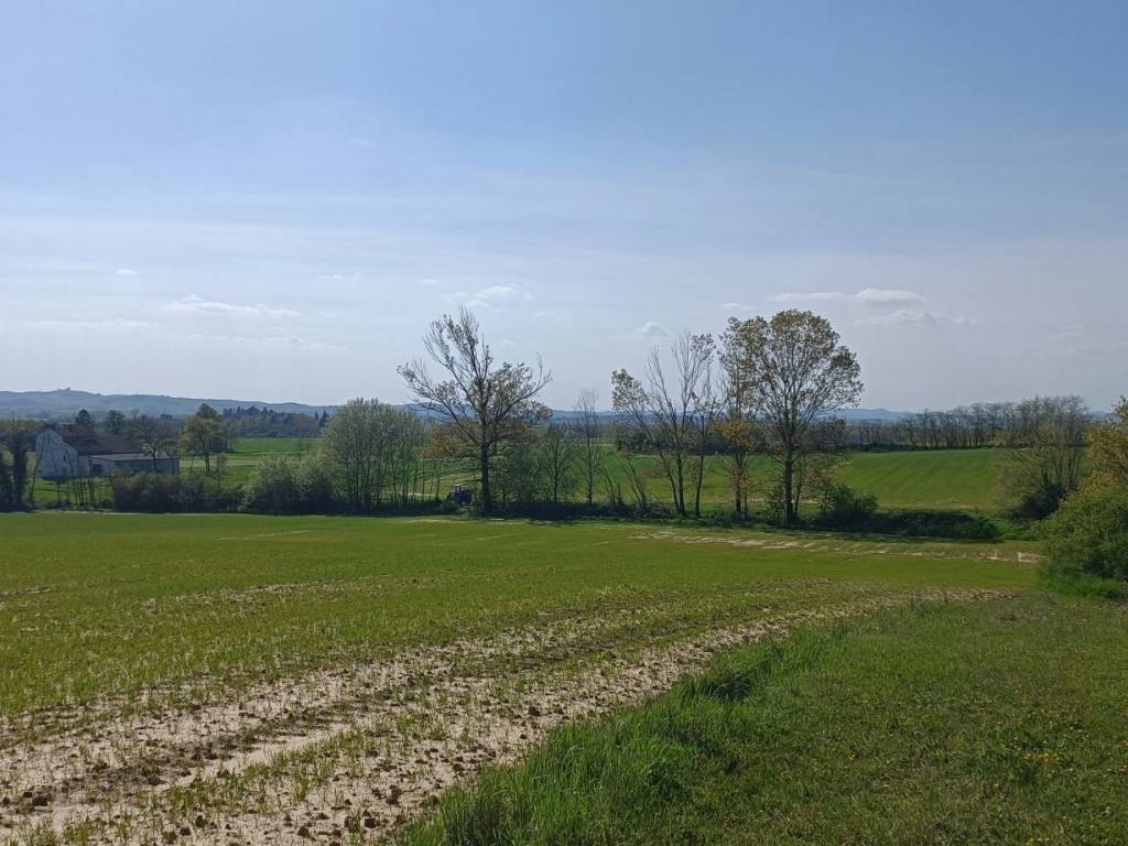 Terreno a Valenza in Strada Serra - Foto 2