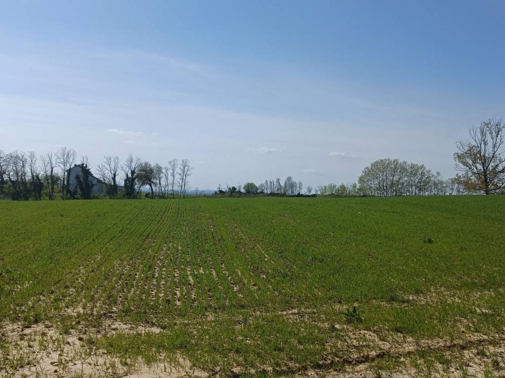 Terreno a Valenza in Strada Serra - Foto 3