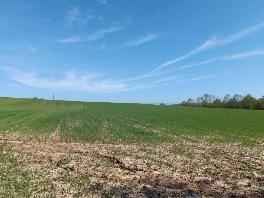 Terreno a Valenza in Strada Serra - Foto 5