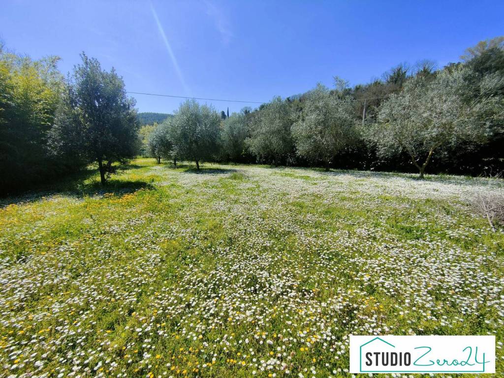 Villa a Amelia - Foto 4