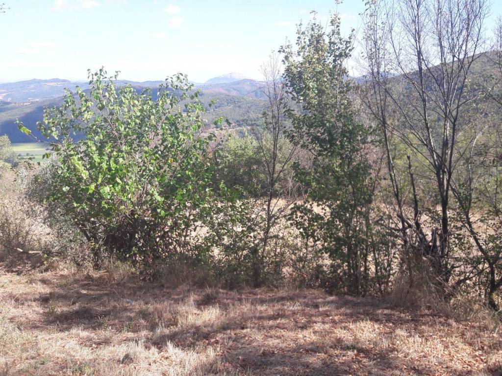 Rustico / casale a Cortona - Foto 3