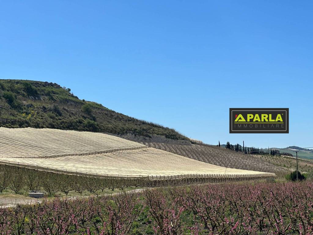 Terreno a Delia in canicattì-delia - Foto 2