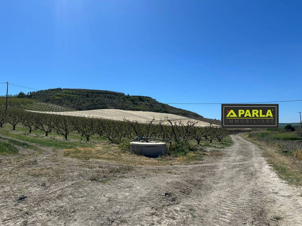 Terreno a Delia in canicattì-delia - Foto 4