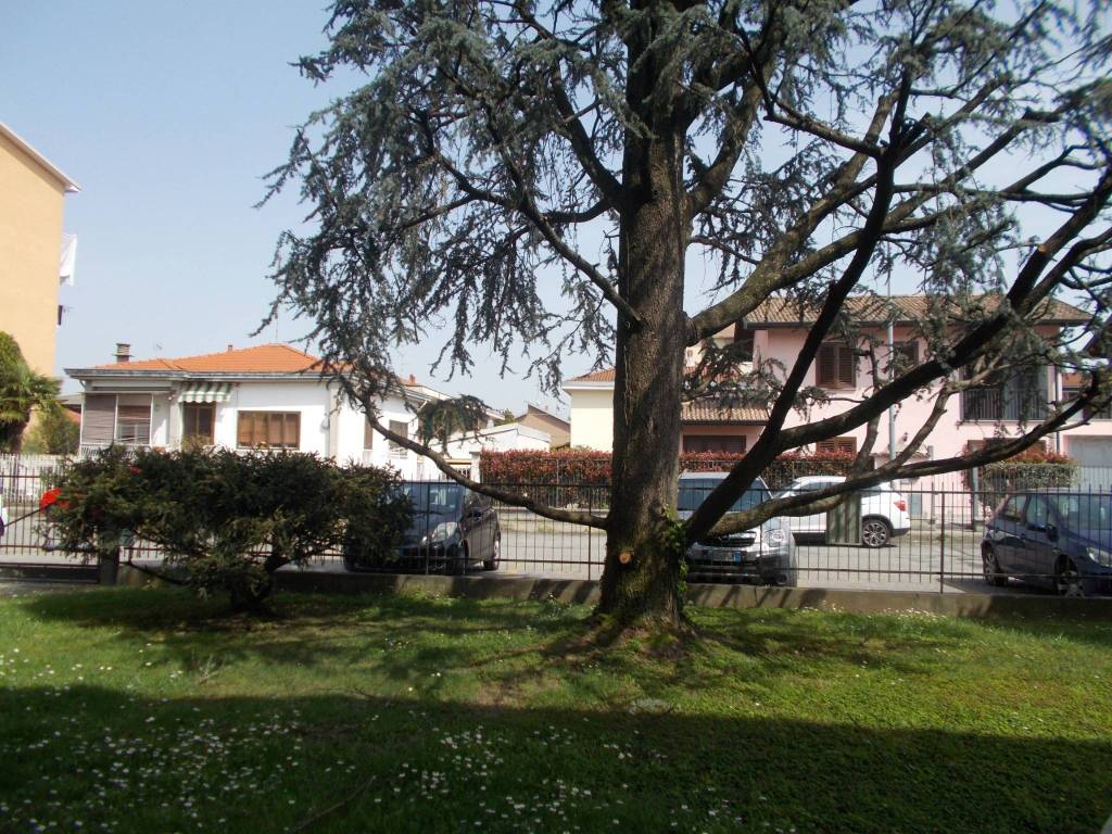 Appartamento a Vigevano - Foto 2