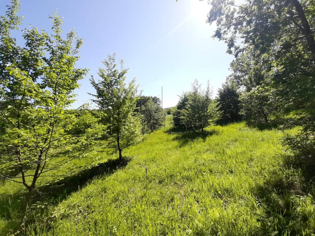 Terreno a Umbertide in Strada Provinciale 142 di Castel Rigone - Foto 2