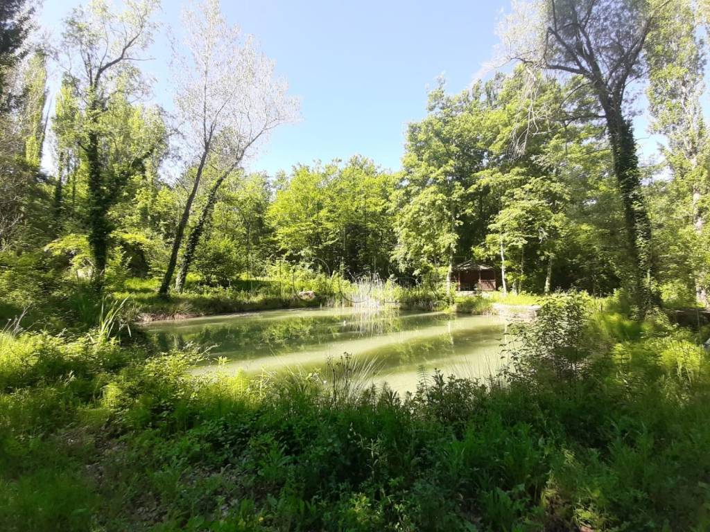Terreno a Umbertide in Strada Provinciale 142 di Castel Rigone - Foto 3