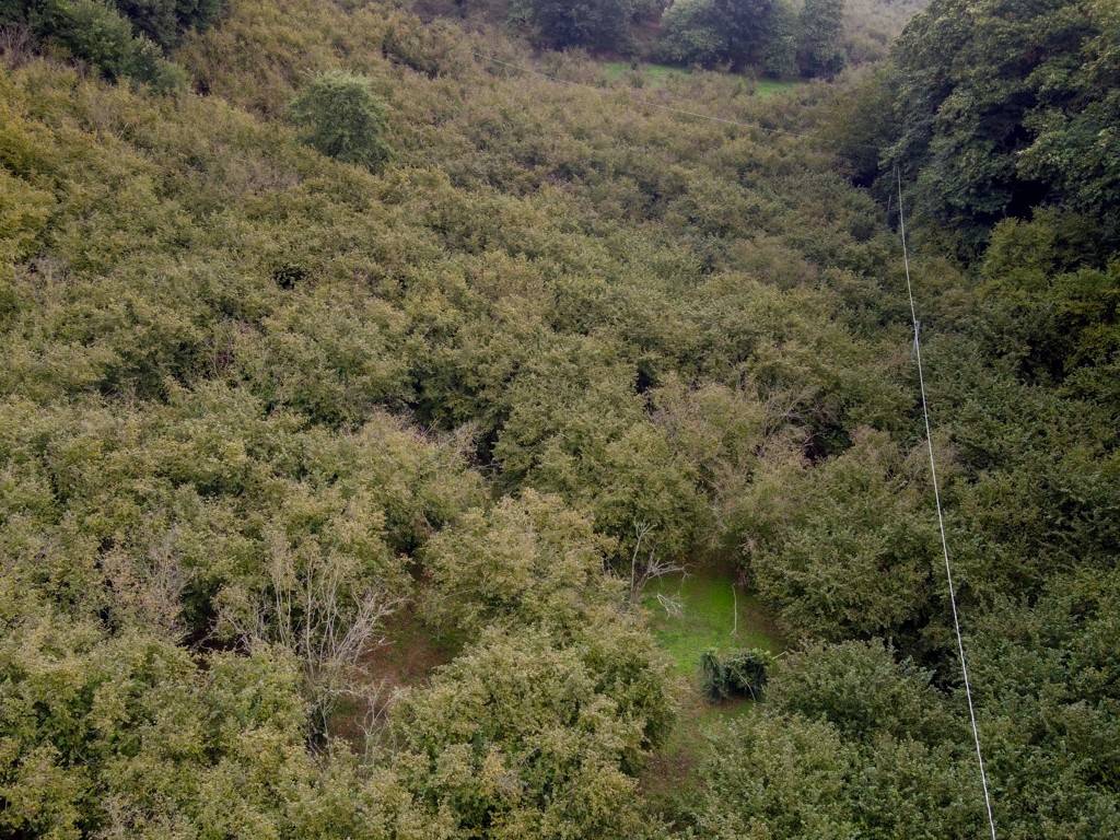 Terreno a Vallerano in località sant'angelo - Foto 5