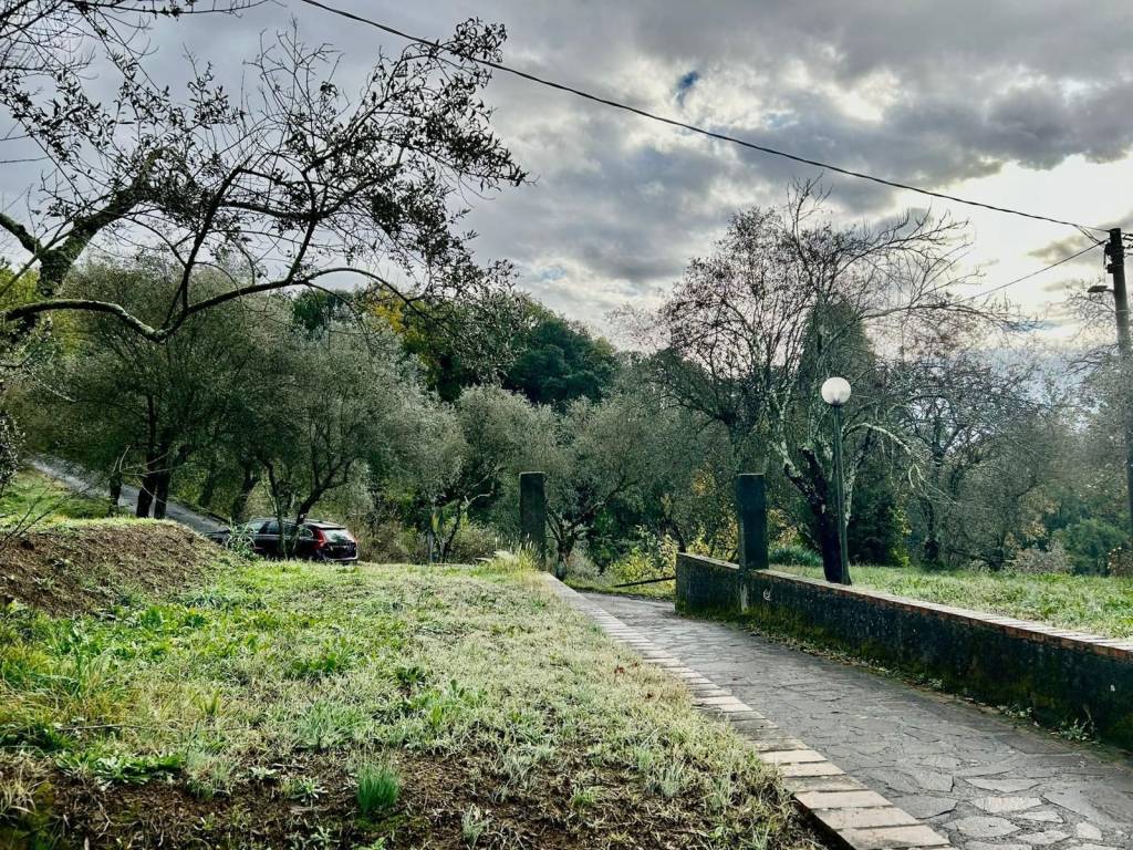 Villa a Sarzana - Foto 2