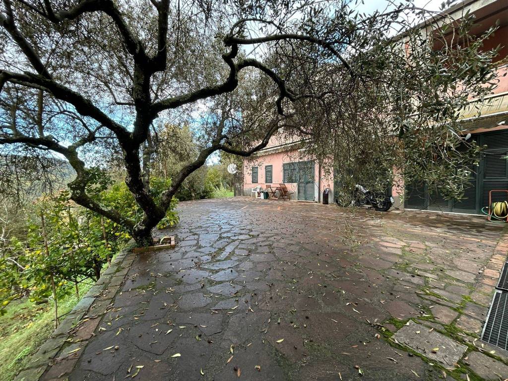 Villa a Sarzana - Foto 3