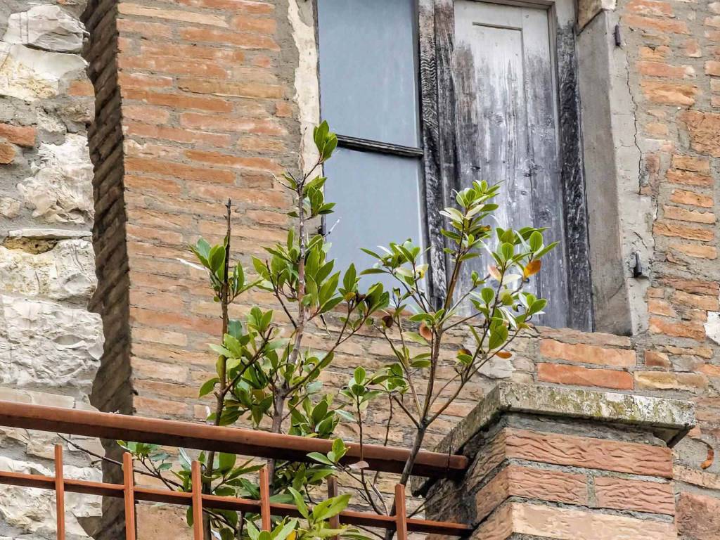 Palazzo / stabile a Castelnuovo berardenga - Foto 4