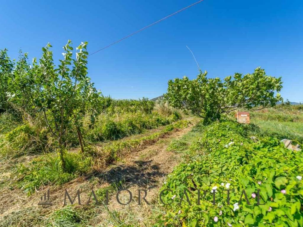 Rustico / casale a Posada in Località Gunnas - Foto 4