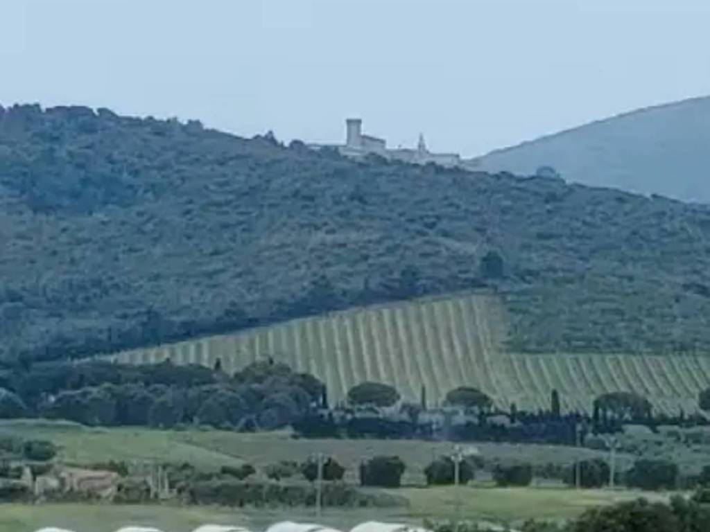 Casa indipendente a Capalbio in Strada Selva Nera - Foto 4