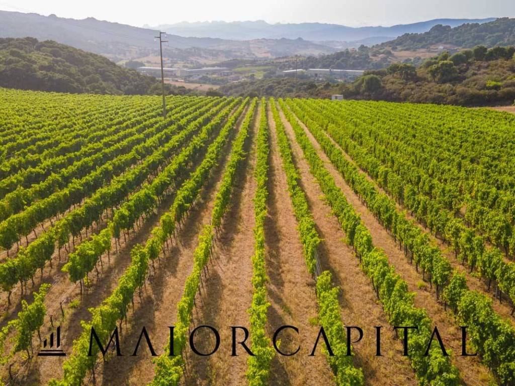 Terreno a Calangianus in Via Sigara - Foto 3