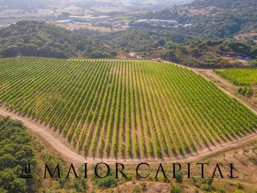 Terreno a Calangianus in Via Sigara - Foto 5