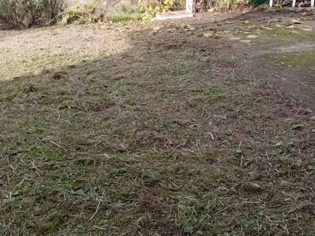 Villa a Marineo in Cda Luisa S.N.C. - Foto 4