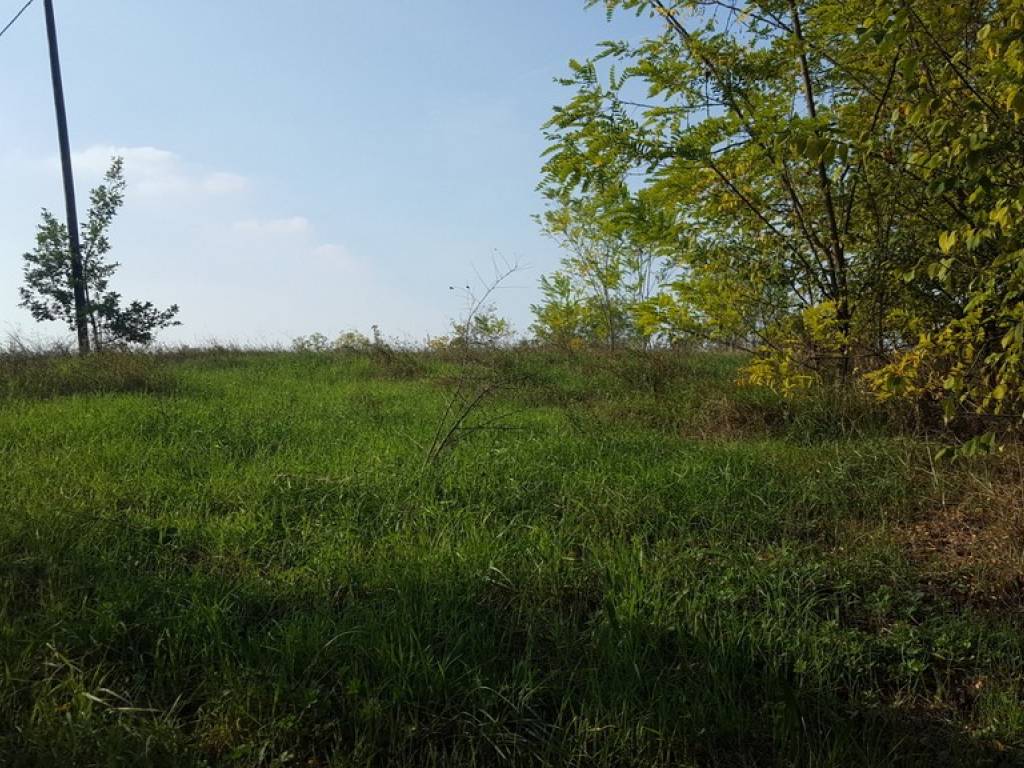 Terreno a Alessandria - Foto 2