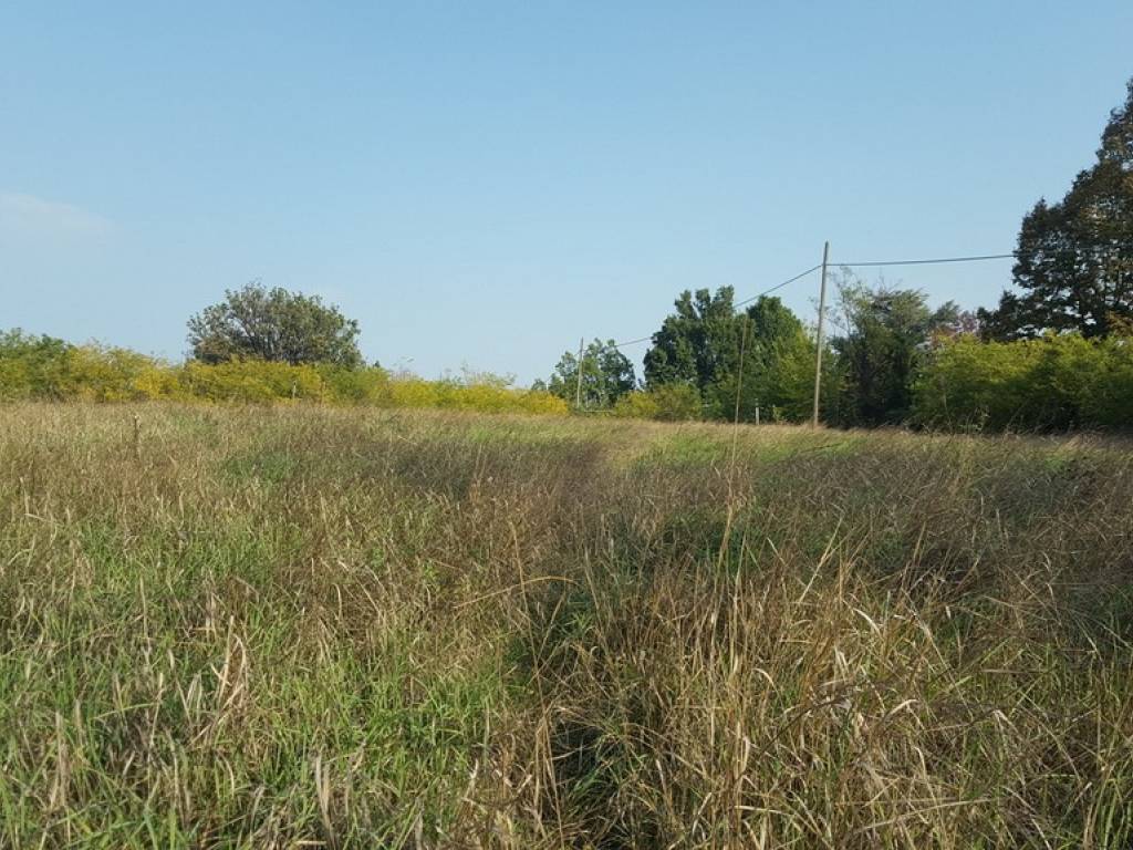 Terreno a Alessandria - Foto 3